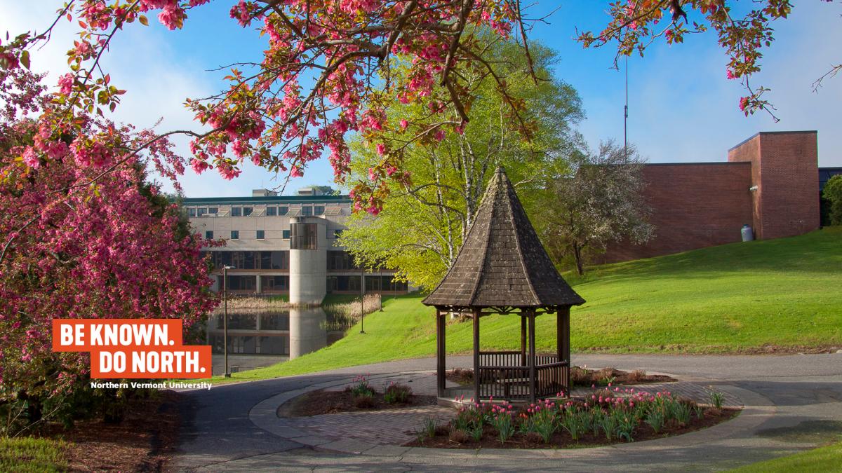 计算机和缩放背景 北佛蒙特大学 计算机和缩放背景 北佛蒙特大学